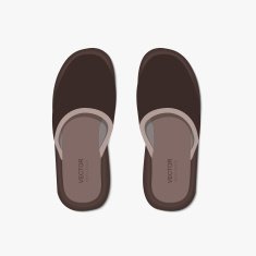 Vector modern flippers on gray bakground