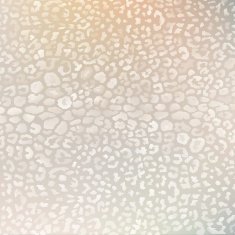 colorful textures of leopard N7