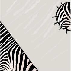 Abstract zebra vector background