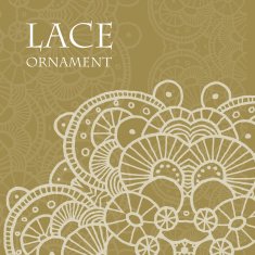 Vector lace ornament background N16