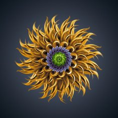 microbiological organic shape virus macro