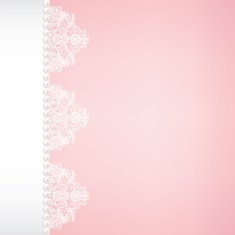 lace fabric background N13
