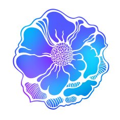 colorful illustration flowers in simple background N12