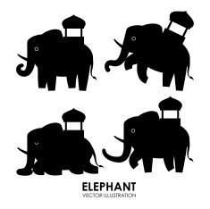 animal design N9