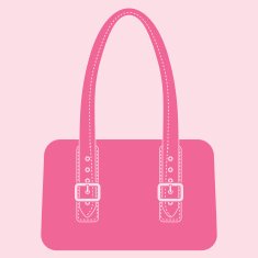 purse icon N105