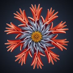 abstract 3d flower isolated object N2