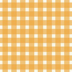 Checked seamless pattern N20