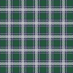 Checked seamless pattern N24