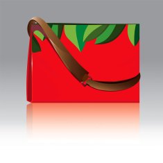 spring bag