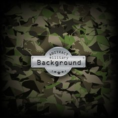 Camouflage military pattern background Vector illustration EPS10 N11