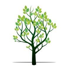 Spring Tree Vector Illustration
