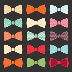 set of bow tie in vector on white background N2