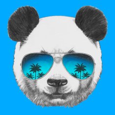 Portrait of Panda with mirror sunglasses