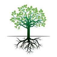 Tree and Roots Vector Illustration N4