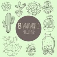 Vintage succulents and cactus vector plant elements handpainted sketch N2