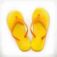 Flip Flops vector icon N2