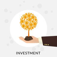 Money Tree N13