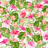 Beautiful alstroemeria