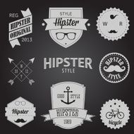 Set of Vintage styled design Hipster icons Vector illustration background N4