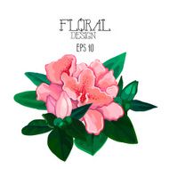 Azalea vignette