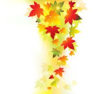Autumn Maple Leaves Background N3