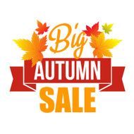 Autumn background with leaves N19