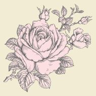 Roses N9