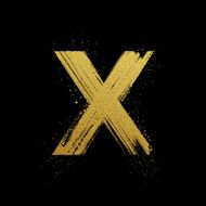 Gold glittering brush hand painted letter X