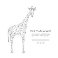 Business Card Template N46