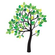 Summer Color Tree
