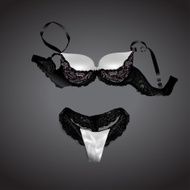Black and white female sexy lingerie Vector illustration