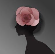 hat rose