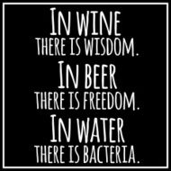 Funny inspirational quotation about beer wine water