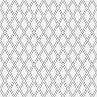 Seamless pattern455