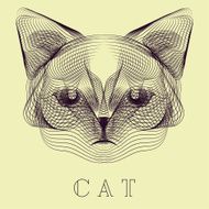 Hipster stylize cat