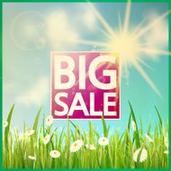 Grass with flowers and Sale N3