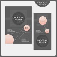 simplicity brochure template design set
