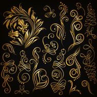 Vector set of floral elements N3