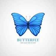 Butterfly vector logo design template