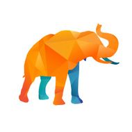 Elephant N52