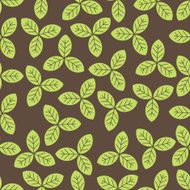 leaves chaotic pattern N2
