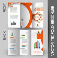 Corporate Business Tri-Fold Brochure N53