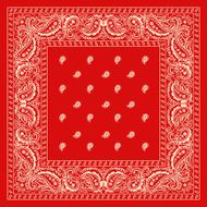 Red Bandanna