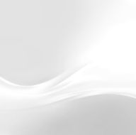 White Background N81