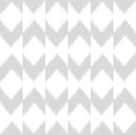 Vector seamless ikat pattern N42