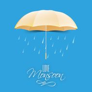 Glossy umbrella for Monsoon Season