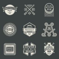 Retro design insignias logotypes set 8 Vector vintage elements