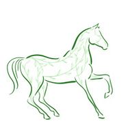 Horse`s silhouette with green floral lines in motion