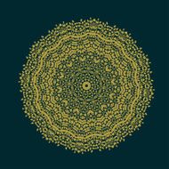 Abstract circles pattern with leaf and floral concept N2