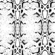 Seamless pattern black on white background Snake skin texture Vector